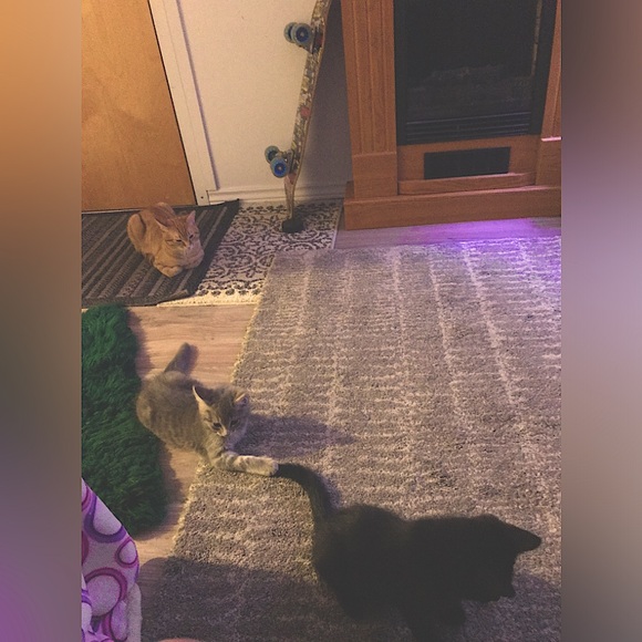 Meet your Posher, Marilyne - Picture 1 of 5